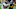 Tennessee Titans Tennessee Titans