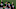 Atlanta Braves Atlanta Braves
