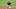 Freddie Freeman #5 of the Atlanta Braves. (Photo by Jim McIsaac/Getty Images)