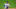 Braves Braves