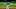Atlanta Braves