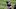 Johan Camargo #17 of the Atlanta Braves. (Photo by Mark Brown/Getty Images)