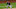 Atlanta Braves Atlanta Braves
