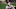 Atlanta Braves Atlanta Braves