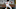 atlanta braves atlanta braves