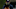 Atlanta Braves Atlanta Braves