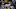 atlanta braves atlanta braves