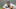 atlanta braves