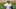 Nolan Arenado #28 of the Colorado Rockies Braves. (Photo by Justin Edmonds/Getty Images) Nolan Arenado #28 of the Colorado Rockies Braves. (Photo by Justin Edmonds/Getty Images)