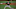 Atlanta Braves Atlanta Braves