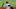 Atlanta Braves