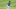 Atlanta Braves Atlanta Braves