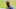 Atlanta Braves