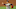 atlanta braves atlanta braves