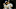 Atlanta Braves