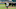 atlanta Braves