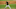 atlanta braves atlanta braves