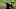 atlanta braves atlanta braves