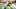ANN ARBOR, MICHIGAN – OCTOBER 05: Mike Sainristil #19 of the Michigan Wolverines battles for yards after a first quarter catch against Michael Ojemudia #11 of the Iowa Hawkeyes at Michigan Stadium on October 05, 2019 in Ann Arbor, Michigan. (Photo by Gregory Shamus/Getty Images) ANN ARBOR, MICHIGAN – OCTOBER 05: Mike Sainristil #19 of the Michigan Wolverines battles for yards after a first quarter catch against Michael Ojemudia #11 of the Iowa Hawkeyes at Michigan Stadium on October 05, 2019 in Ann Arbor, Michigan. (Photo by Gregory Shamus/Getty Images)