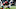 houston texans, whitney mercilus houston texans, whitney mercilus