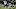Texans schedule, Lamar Jackson Texans schedule, Lamar Jackson