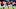 Houston Texans Houston Texans