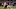 Kahale Warring, Houston Texans Kahale Warring, Houston Texans