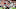 Julio Jones, Houston Texans Julio Jones, Houston Texans