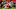 Deshaun Watson, Houston Texans Deshaun Watson, Houston Texans