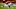 Will Fuller V, Houston Texans Will Fuller V, Houston Texans