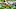 Chase Claypool, Pittsburgh Steelers Chase Claypool, Pittsburgh Steelers