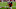 Houston Texans wide receiver DeAndre Hopkins Houston Texans wide receiver DeAndre Hopkins