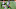 Houston Texans Houston Texans
