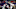 Houston Texans Houston Texans
