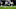 Houston Texans Houston Texans