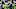 Houston Texans, David Johnson Houston Texans, David Johnson