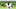 Deshaun Watson, Houston Texans Deshaun Watson, Houston Texans