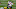 deandre carter, houston texans deandre carter, houston texans