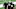 Houston Texans Houston Texans