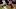 Tyson Campbell, Houston Texans