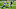 houston texans, will fuller houston texans, will fuller