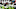 Houston Texans, Deshaun Watson Houston Texans, Deshaun Watson