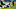 Houston Texans Houston Texans