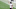 Houston Texans Houston Texans