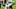 Houston Texans Houston Texans
