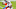 Houston Texans Houston Texans