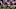 Houston Texans Houston Texans