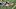 Houston Texans Houston Texans