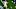 NFL Quarterbacks NFL Quarterbacks