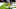 Houston Texans, Brandin Cooks Houston Texans, Brandin Cooks